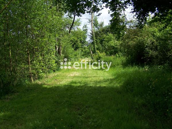 Terrain - 73790 m²