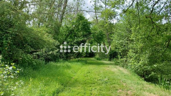 Terrain - 73790 m²