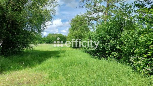 Terrain - 73790 m²