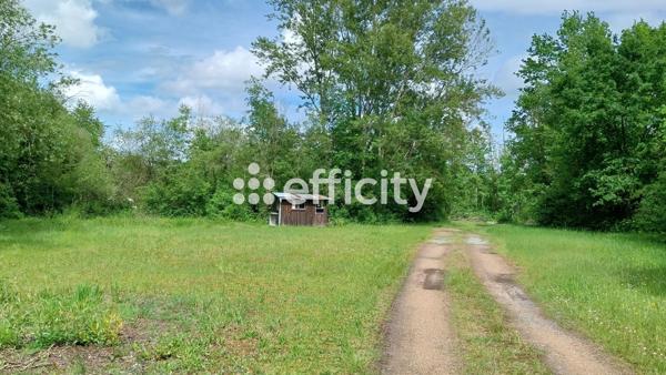Terrain - 73790 m²