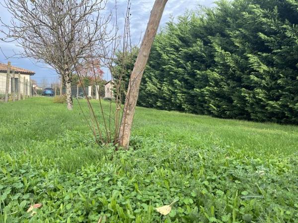 Terrain à vendre |  Lesparre-Médoc |  1237 m²