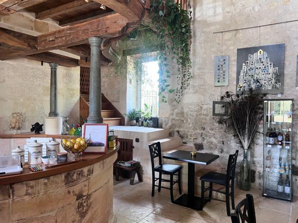 Domaine à vendre 11 pièces et activité rentable en place (17)