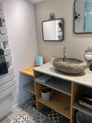 Domaine à vendre 11 pièces et activité rentable en place (17)