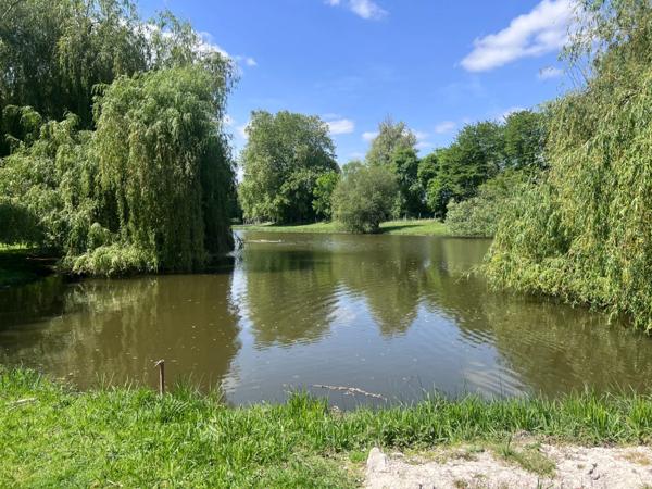 Domaine à vendre 11 pièces et activité rentable en place (17)