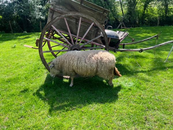 Domaine à vendre 11 pièces et activité rentable en place (17)