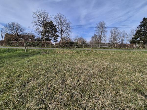 Terrain
        
        - 3998 m² 87 990 € *
