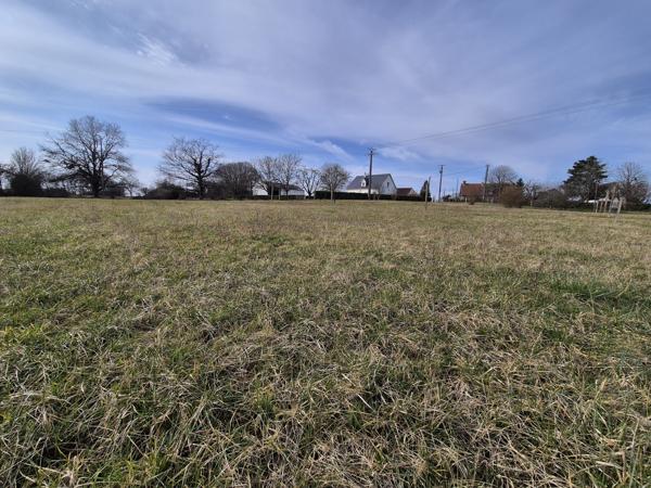 Terrain
        
        - 3998 m² 87 990 € *