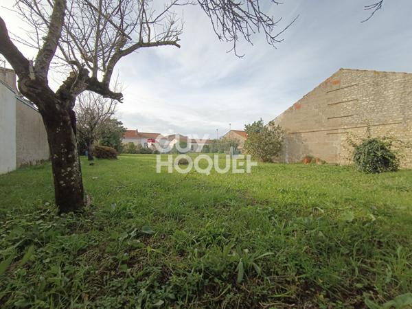Terrain à VENDRE - Saint Pierre d'Oléron 512 m2 - hors zone submersible