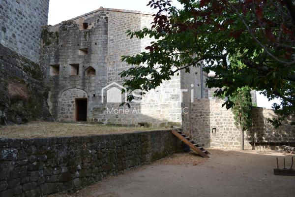Château Médiéval XIIème-15 pièces - 800m2
