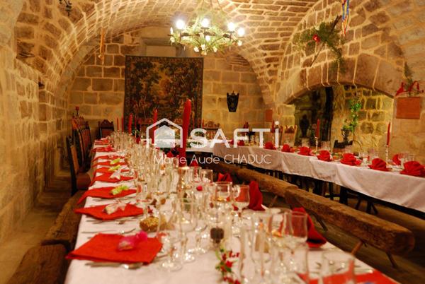 Château Médiéval XIIème-15 pièces - 800m2