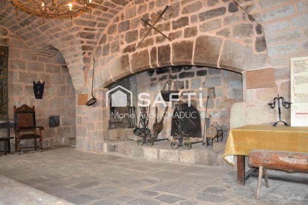 Château Médiéval XIIème-15 pièces - 800m2