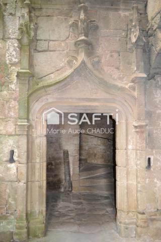 Château Médiéval XIIème-15 pièces - 800m2