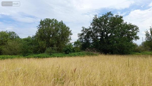 Terrain à Batir à vendre à Allonnes dans le Maine-et-Loire (49650), ref : 49076-300