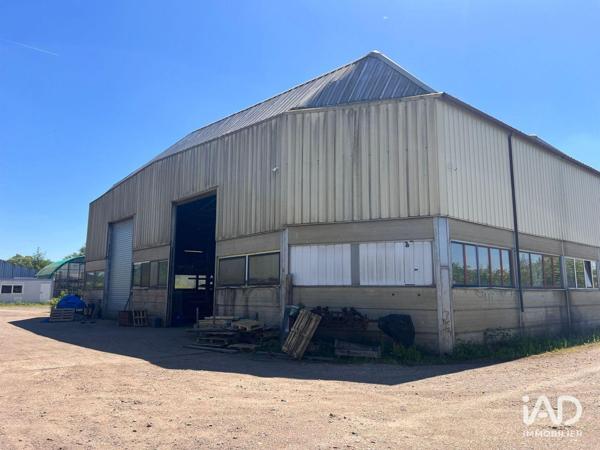 Hangar à vendre 1 600 m² Hauconcourt