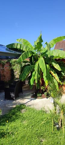 CLICHY SOUS BOIS - CHARMANTE MAISON