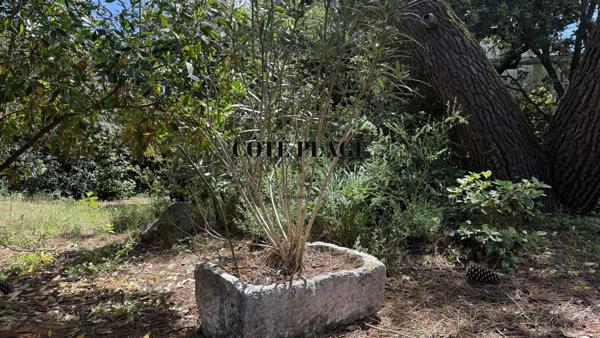Saint-Palais-sur-Mer (17420) SAINT PALAIS / MER - Maison atypique - proche plage - AU PRIX DE 977.600€ HAI