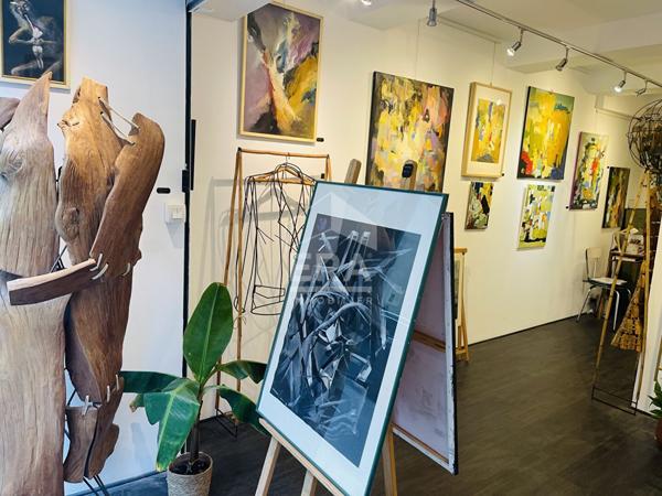 Local Commercial 56 m² - Centre-ville de Carcassonne