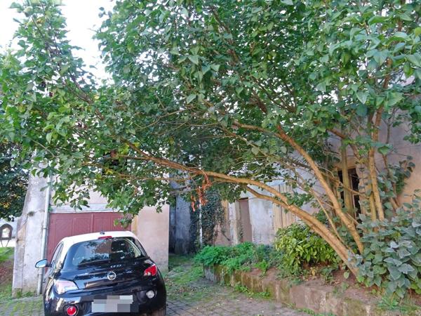 Vente Maison de ville 8 pièces 93 m2 à Baccarat