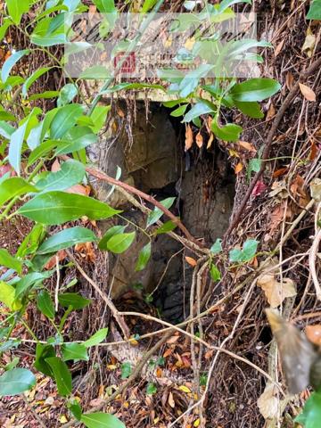 49380 - Faveraye Machelles Maison à rénover de 83 m² avec grenier aménageable sut terrain clos de 400 m²