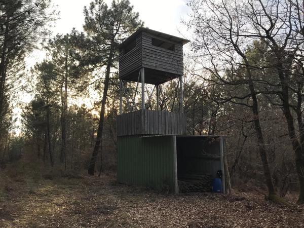 Grande propriété de 3 chambres située sur un terrain de 65 hectares avec potentiel de revenus (actuellement un parc de chasse)