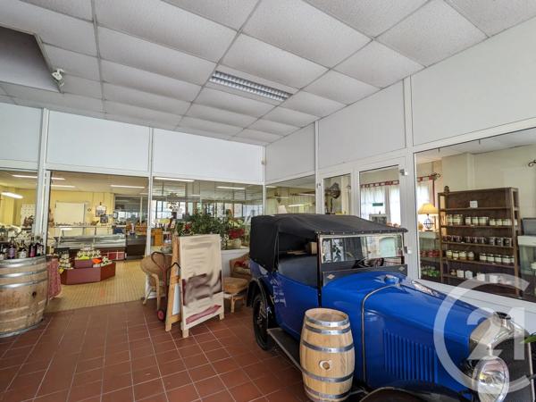 Maison à vendre  11 pièces - 215 m 2   ST CYPRIEN  - 24