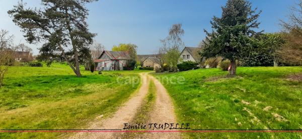 Maison à vendre 5 pièces RUILLE SUR LOIR (72) 3/5 chambres - 3205m² de terrain