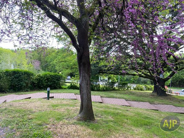 Vente appartement Saint Herblain : 246 100 € - AJP Immobilier Saint Herblain