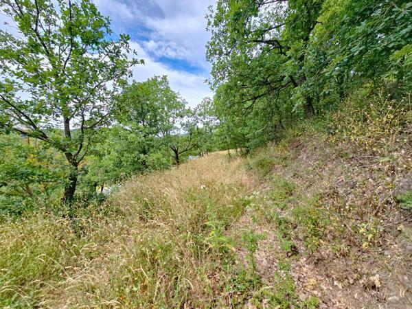 EXCLUSIVITÉ – Terrain de loisirs avec mazet et vue panoramique – Graissessac (34260)