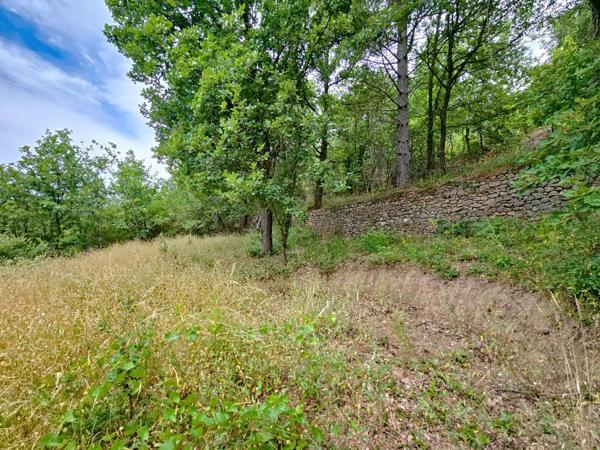 EXCLUSIVITÉ – Terrain de loisirs avec mazet et vue panoramique – Graissessac (34260)