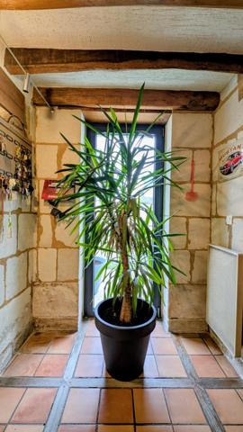 Belle propriété au calme