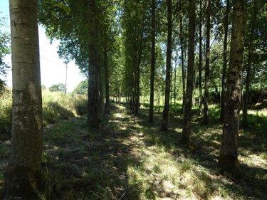 Terrain de loisirs - Bois - Etang à vendre à Poilley en Ille-et-Vilaine (35420), ref : 036/689