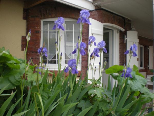 F1 Villers- sur- mer  1 chambre - A  minutes de la plage.