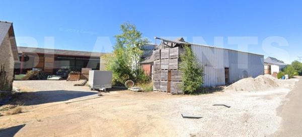 exploitation agricole grossiste en légumes