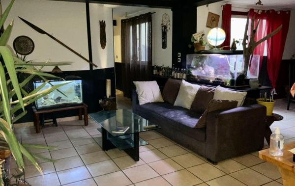 Vente Immeuble 2 APPARTEMENTS 2 GARAGES 2TERRASSES rénové(e) Salleles-d'aude   