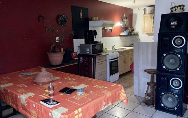 Vente Immeuble 2 APPARTEMENTS 2 GARAGES 2TERRASSES rénové(e) Salleles-d'aude   