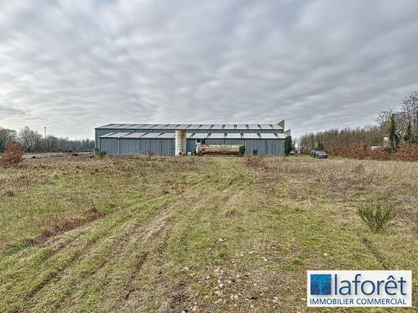 Achat local commercial près de Saint-Jacques-de-Thouars - 3600 m² - 318 000 €