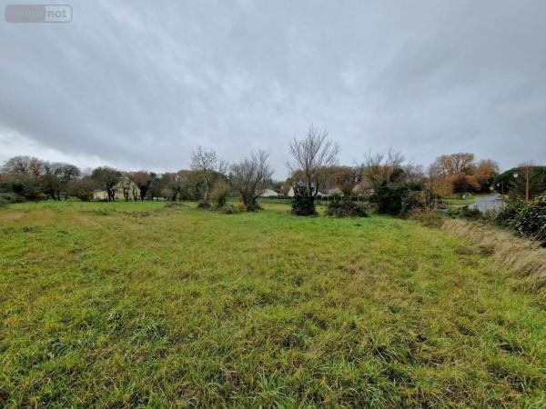 Terrain à Batir à vendre à Gennes Val de Loire dans le Maine-et-Loire (49160), ref : 49112-934