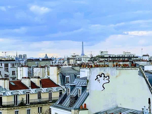 Grand 2p Traversant en dernier étage à Charonne