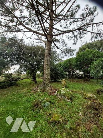  
A VENDRE - La Trinité-sur-mer (56)       Vente interactive par appels d'offres (système d'en...