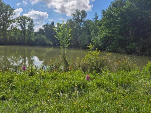 Vente / Maison et grand terrain