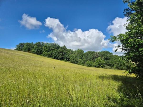 Vente / Maison et grand terrain