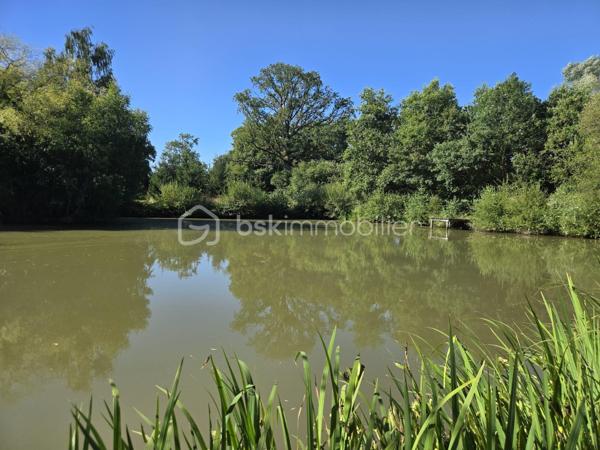 15 min de Laval, très beau terrain de loisirs arboré, comprenant un étang de 2000 m² avec ponton.
Chalet d'environ 10m², terrain de pétanque, 
Profitez du calme pour vous ressourcer en famille ou entre amis!
Terrain en zone agricole, non constructible.
