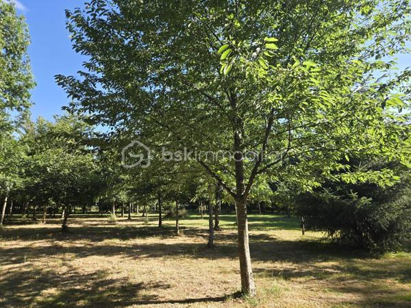 15 min de Laval, très beau terrain de loisirs arboré, comprenant un étang de 2000 m² avec ponton.
Chalet d'environ 10m², terrain de pétanque, 
Profitez du calme pour vous ressourcer en famille ou entre amis!
Terrain en zone agricole, non constructible.