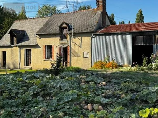 Achat - Maison Janzé 35150 3 pièces 54 m 2 2383 m 2