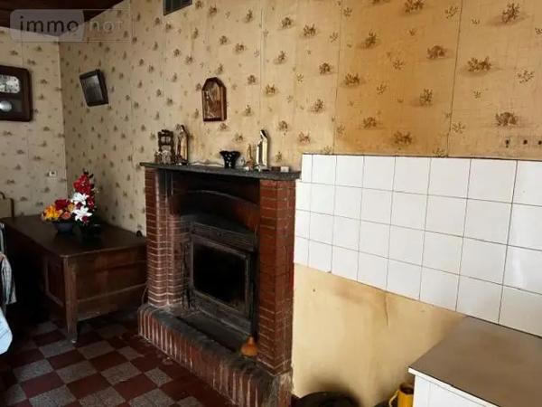 Achat - Maison Janzé 35150 3 pièces 54 m 2 2383 m 2
