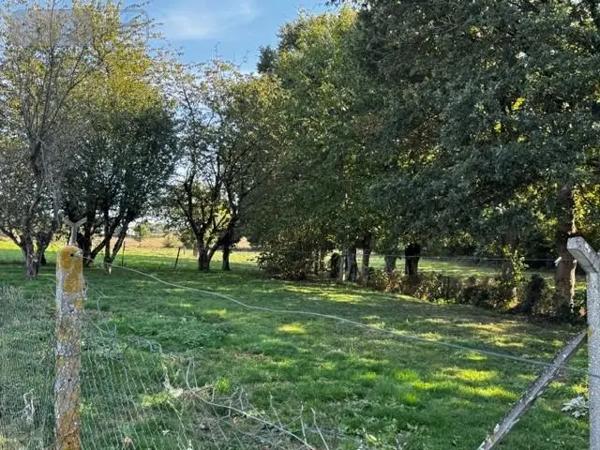 Achat - Maison Janzé 35150 3 pièces 54 m 2 2383 m 2