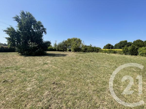 Maison à vendre  10 pièces - 234 m2 SAUGNAC ET CAMBRAN - 40