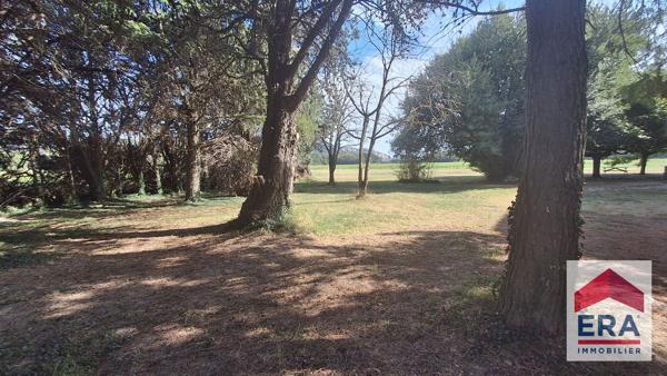 Domaine à Mondragon - Ensemble immobilier - 25 000m² de terrain
