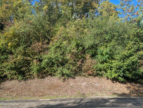 EXCLUSIVITÉ PROPRIÉTÉS-PRIVÉES: Terrain constructible à Mantes-la-Ville