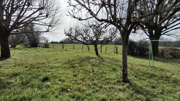 MAISON EN PIERRE 158m2